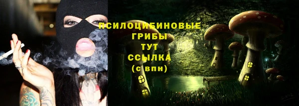 герыч Бородино