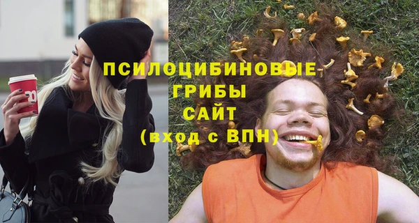 MDMA Premium VHQ Бронницы