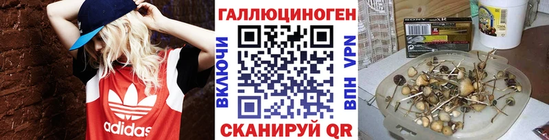 Галлюциногенные грибы Psilocybine cubensis  Купить где  Волжск 